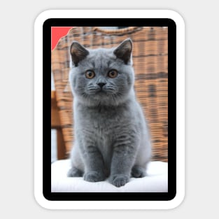 the blue chubby cute cats Sticker